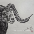 Goat works of pen painting